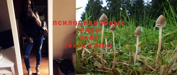 тгк Абинск